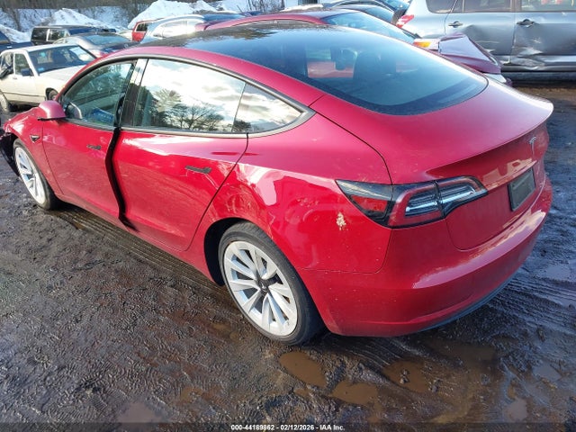 2023 TESLA MODEL 3 5YJ3E1EA6PF494981 Photo 2