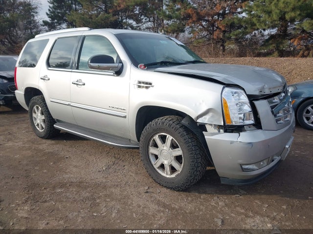 2011 CADILLAC ESCALADE 1GYS4AEF5BR318026