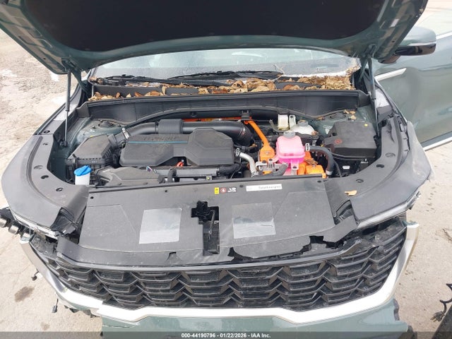 Aukcja sprzedaży 2025 Kia Sorento Hybrid Ex, vin: KNDRH4JG0S5418826, numer aukcji: 44190796