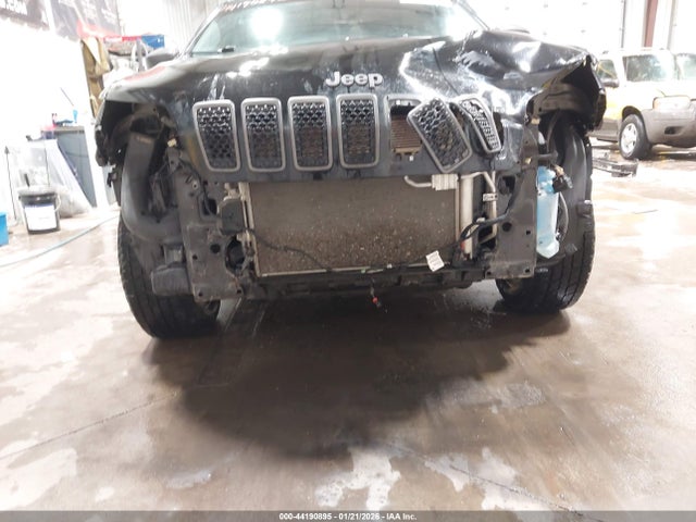 Jeep Cherokee Trailhawk 4x4 2019 1C4PJMBX3KD185797 Image 6