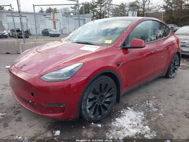 2023 TESLA MODEL Y 7SAYGDEFXPF700609 Photo 1