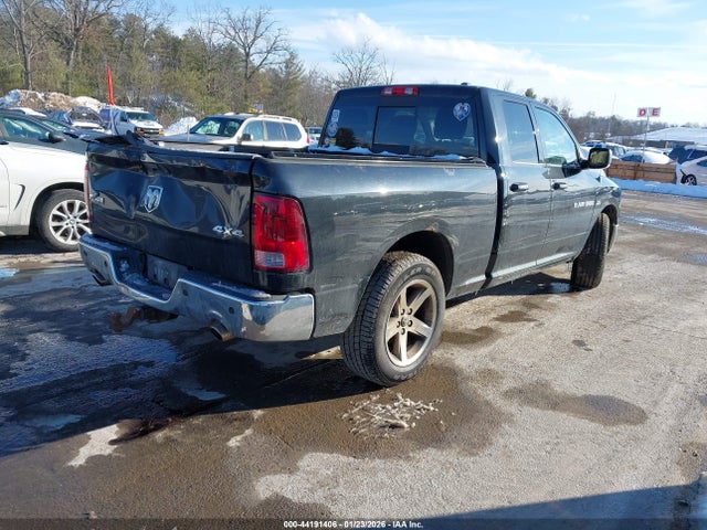 2011 RAM RAM 1500 1D7RV1GT5BS504183 Photo 3