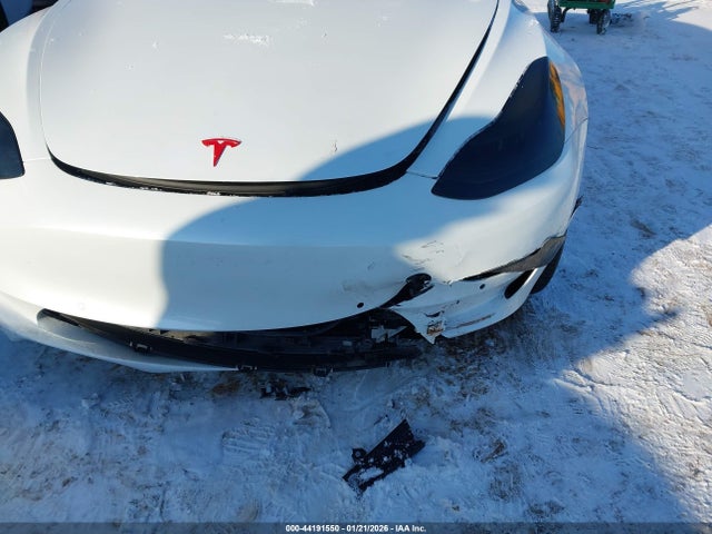 2019 TESLA MODEL 3 5YJ3E1EA4KF402503 Photo 5