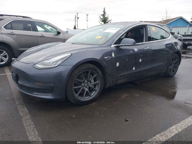 Продаж на аукціоні авто 2020 Tesla Model 3 Standard Range Plus Rear-wheel Drive/standard Range Rear-wheel Drive, vin: 5YJ3E1EA9LF495956, номер лоту: 44192202