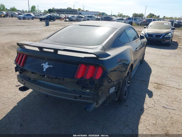 1FA6P8AM8G5274409 Ford Mustang V6