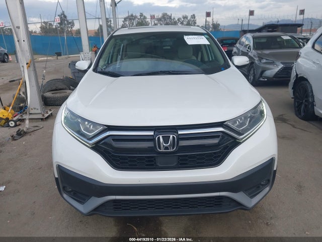Honda Cr-v Awd Ex-l 2020 5J6RW2H82LL035308 Image 12