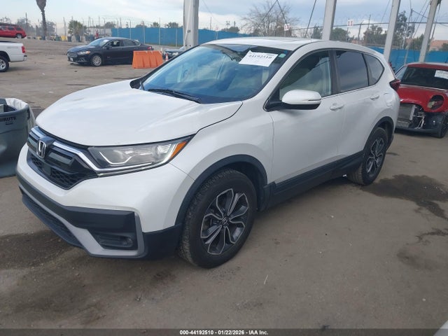 Honda Cr-v Awd Ex-l 2020 5J6RW2H82LL035308 Image 2