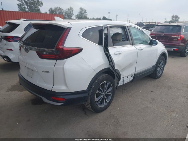 Honda Cr-v Awd Ex-l 2020 5J6RW2H82LL035308 Image 4