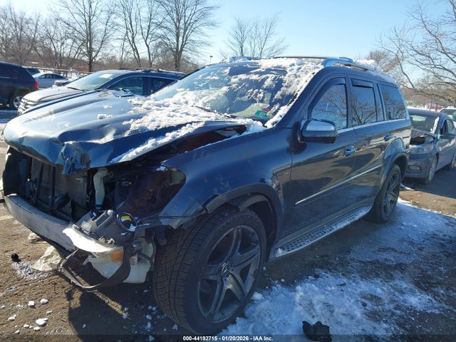 2010 MERCEDES-BENZ GL 550 4JGBF8GE7AA597775 Photo 1