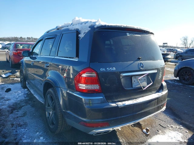 2010 MERCEDES-BENZ GL 550 4JGBF8GE7AA597775 Photo 2