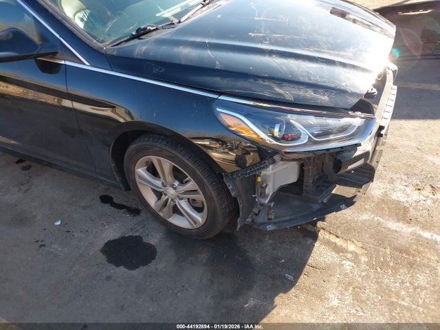 Hyundai SONATA SEL 2019 5NPE34AF5KH821530 Image 19