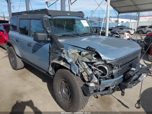 Ford Bronco Everglades 2024 1FMEE4HH4RLA53901 главное изображение