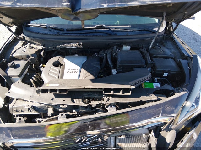 5NPE24AA3GH436286 Hyundai SONATA ECO