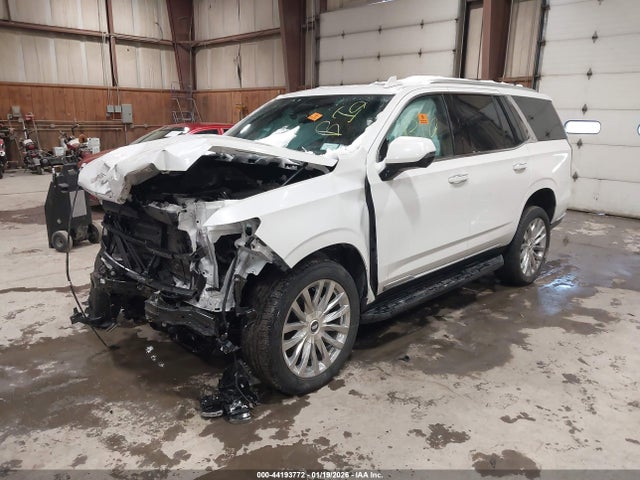 2024 CADILLAC ESCALADE 1GYS4BKL2RR419423 Photo 1