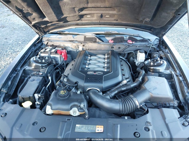 1ZVBP8CF1E5275337 Ford MUSTANG GT