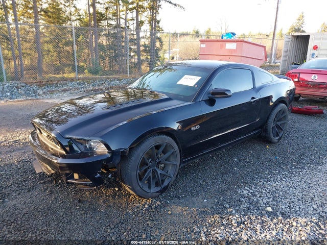 1ZVBP8CF1E5275337 Ford MUSTANG GT