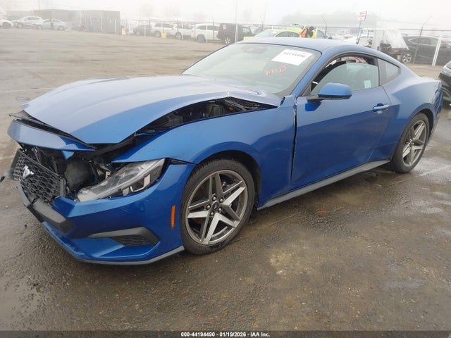Ford Mustang Ecoboost Fastback 2024 1FA6P8TH2R5137856 Image 2
