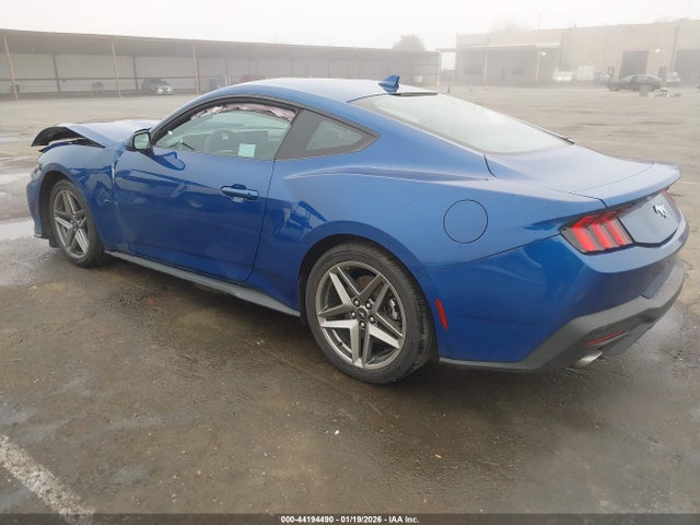 Ford Mustang Ecoboost Fastback 2024 1FA6P8TH2R5137856 Image 3