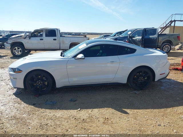 Ford Mustang Ecoboost Premium Fastback 2020 1FA6P8TH0L5154646 Image 14