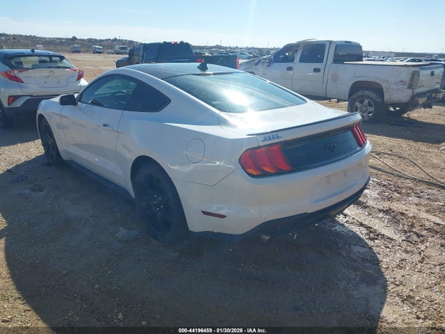 Ford Mustang Ecoboost Premium Fastback 2020 1FA6P8TH0L5154646 Image 3