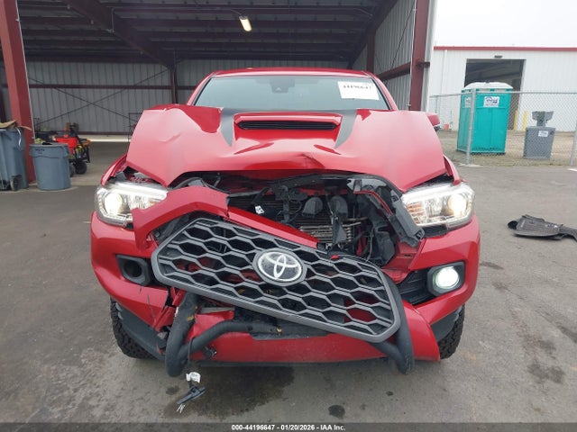 3TMCZ5AN8LM315429 Toyota Tacoma Trd Sport