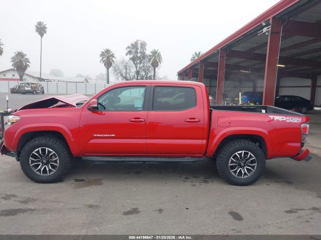 3TMCZ5AN8LM315429 Toyota Tacoma Trd Sport