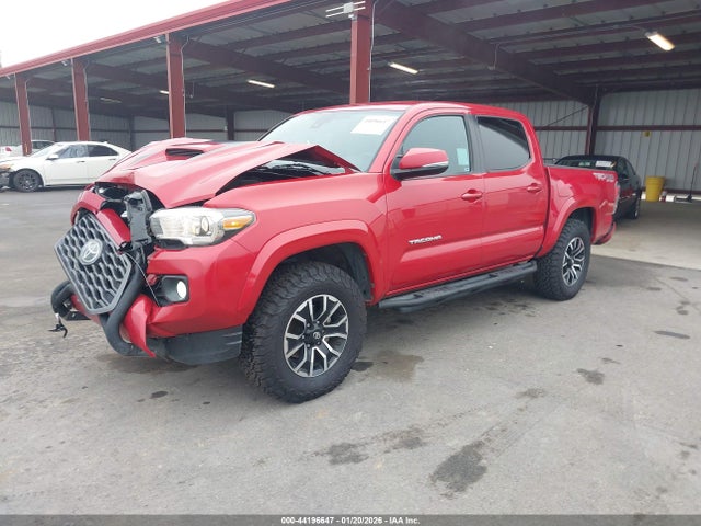 3TMCZ5AN8LM315429 Toyota Tacoma Trd Sport