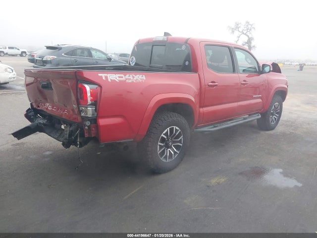 3TMCZ5AN8LM315429 Toyota Tacoma Trd Sport