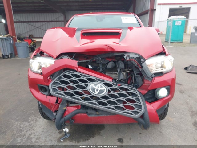 3TMCZ5AN8LM315429 Toyota Tacoma Trd Sport