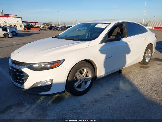 1G1ZC5ST6KF138816 Chevrolet Malibu 1fl