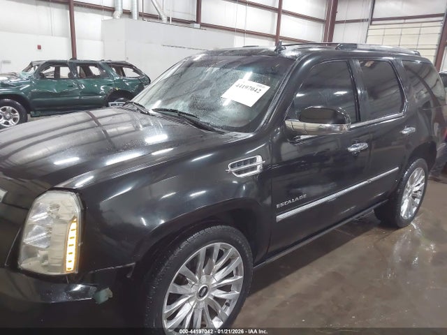 2011 CADILLAC ESCALADE 1GYS4CEF0BR398931 Photo 1