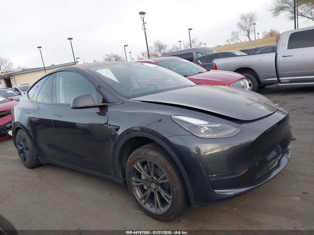 7SAYGDED0RF129567 Tesla Model Y Rwd