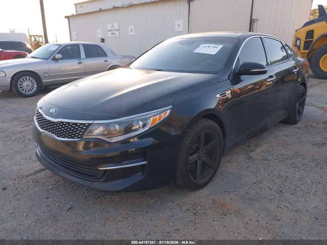 5XXGU4L3XGG095627 KIA OPTIMA EX