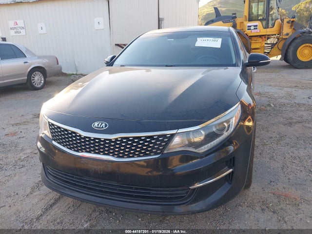 5XXGU4L3XGG095627 KIA OPTIMA EX