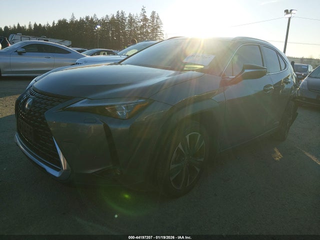 Продажа на аукционе авто 2021 Lexus Ux 250h Luxury, vin: JTHL9JBH4M2048248, номер лота: 44197207