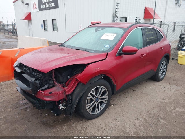 2021 FORD ESCAPE 1FMCU0H66MUB06702 Photo 1