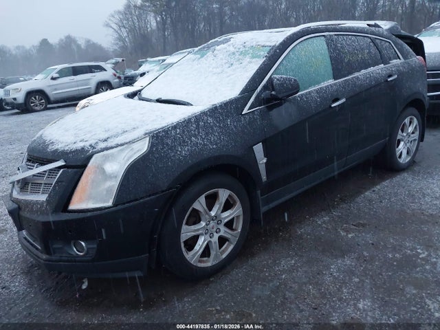 2010 CADILLAC SRX 3GYFNJE42AS563827 Photo 1