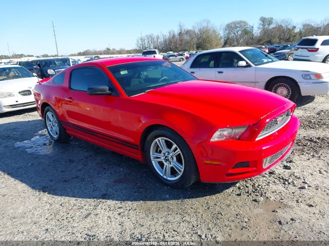 2013 FORD MUSTANG 1ZVBP8AM7D5207494