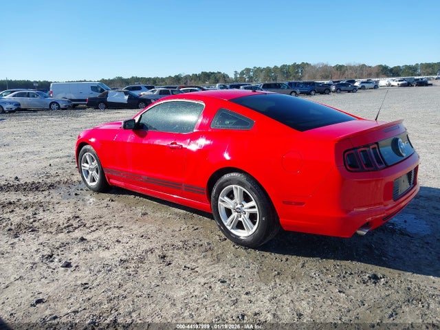 2013 FORD MUSTANG 1ZVBP8AM7D5207494 Photo 2