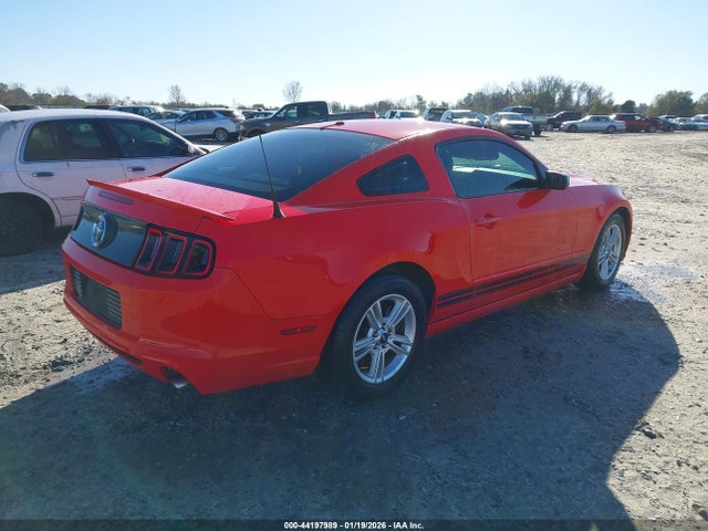 2013 FORD MUSTANG 1ZVBP8AM7D5207494 Photo 3
