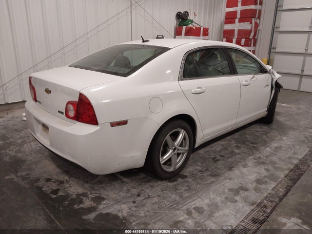 2011 CHEVROLET MALIBU 1G1ZA5EU4BF315762 Photo 3