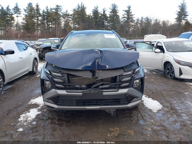 2025 Hyundai Tucson Sel Convenience მანქანა იყიდება აუქციონზე, vin: 5NMJCCDE6SH461807, აუქციონის ნომერი: 44200071