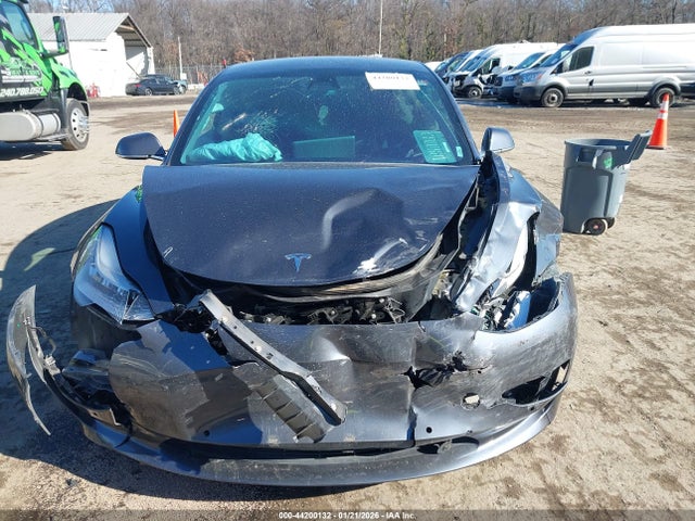 44200132 :رقم المزاد ، 5YJ3E1EA0KF464254 vin ، 2019 Tesla Model 3 مزاد بيع