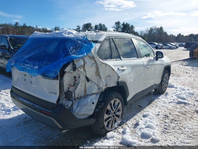 JTMY1RFV0KD512991 Toyota Rav4 Limited