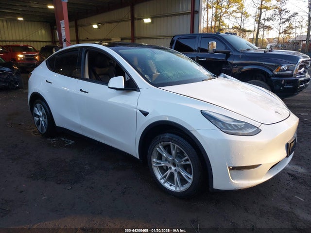 2021 TESLA MODEL Y 5YJYGDEE7MF131024 Photo 0