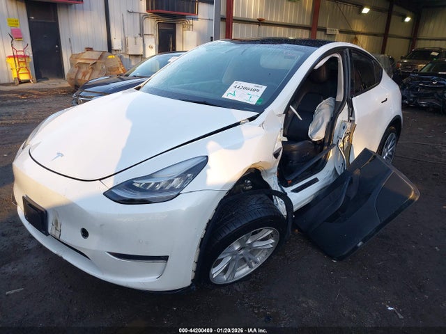 2021 TESLA MODEL Y 5YJYGDEE7MF131024 Photo 1