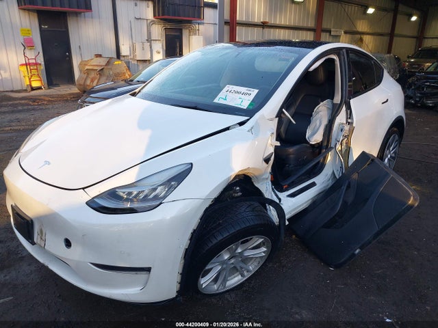 2021 TESLA MODEL Y 5YJYGDEE7MF131024 Photo 5