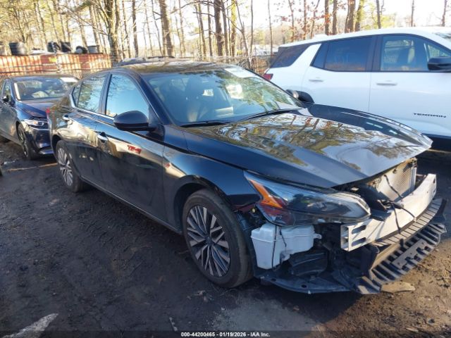 2024 NISSAN ALTIMA 1N4BL4DV8RN377775