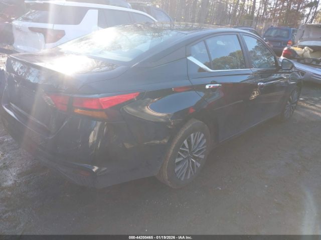 2024 NISSAN ALTIMA 1N4BL4DV8RN377775 Photo 3