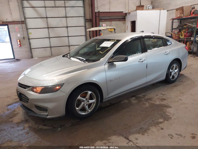 1G1ZB5STXHF286978 Chevrolet MALIBU LS
